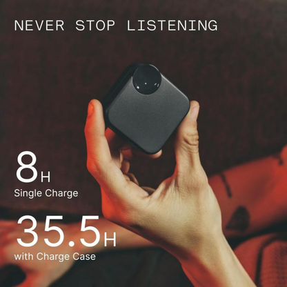 EchoPulse Earbuds